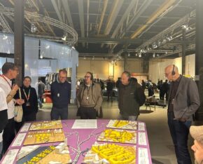 Dutch Design Week