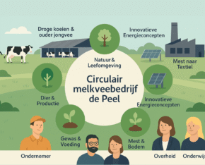 Infographic over Circulair melkveebedrijf de Peel met thema’s als dier, gewas, mest, energie en samenwerking.