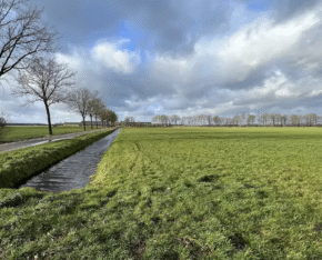 Groen grasland met sloot en bomenrij onder een bewolkte lucht.