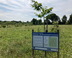 Veld met jonge bomen en een informatiebord over aanleg- en beheermethoden.