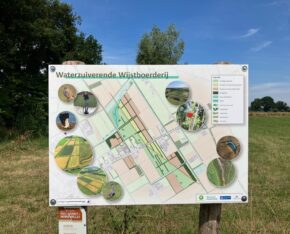 Informatiebord over de Waterzuiverende Wijstboerderij met een kaart en foto’s van natuur en dieren.
