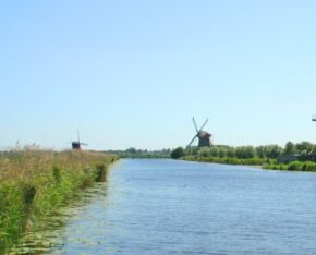 Kanaal met rietkragen en windmolens.